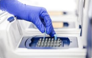 Read more about the article Top Tips for Understanding PCR and RT-PCR